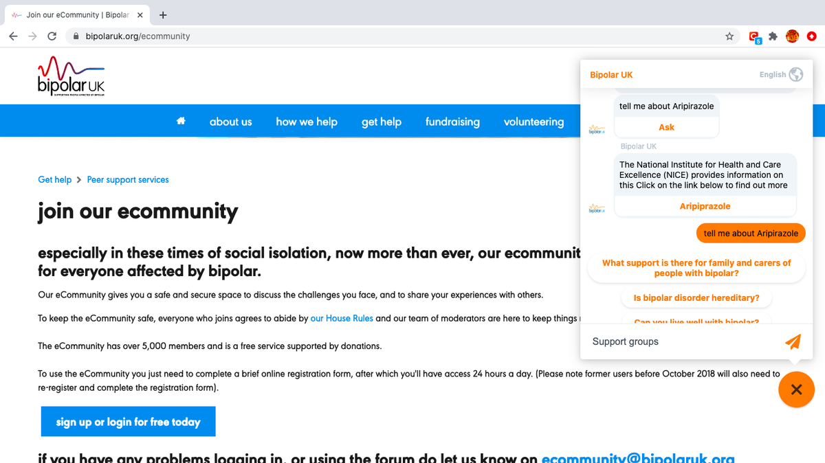 Screengrab of the Bipolar UK chatbot