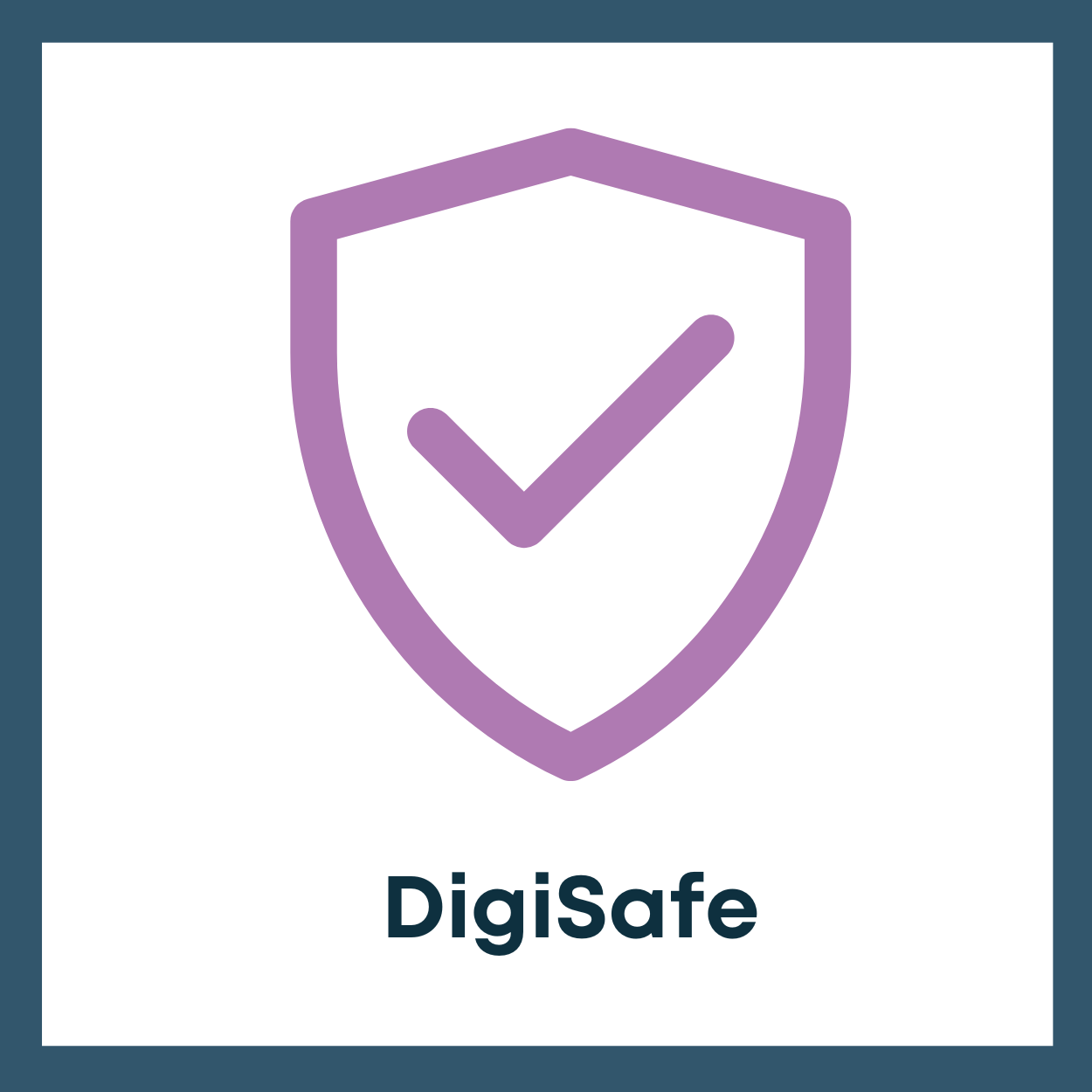 DigiSafe1